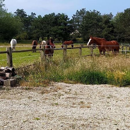 Le Gite De La Ferme Portbail Eksteriør billede